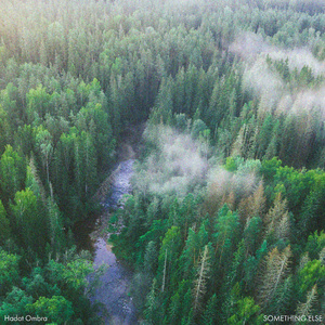 y1uan大家庭2024小说
